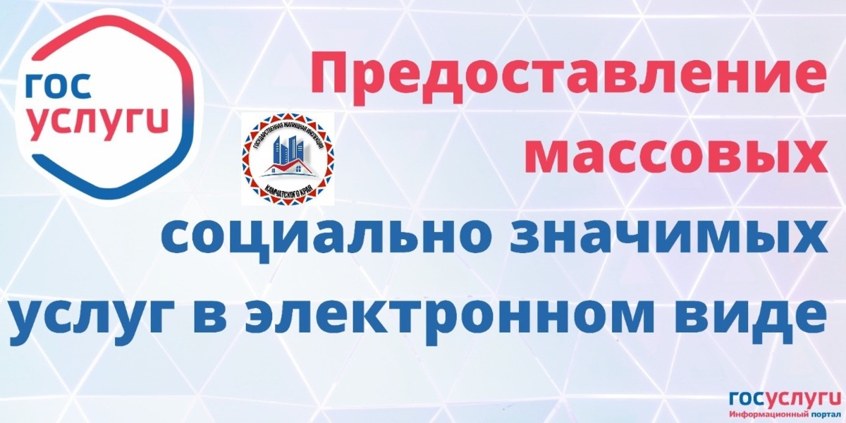 Получение государственных услуг по лицензированию предпринимательской деятельности по управлению многоквартирными домами в электронном виде